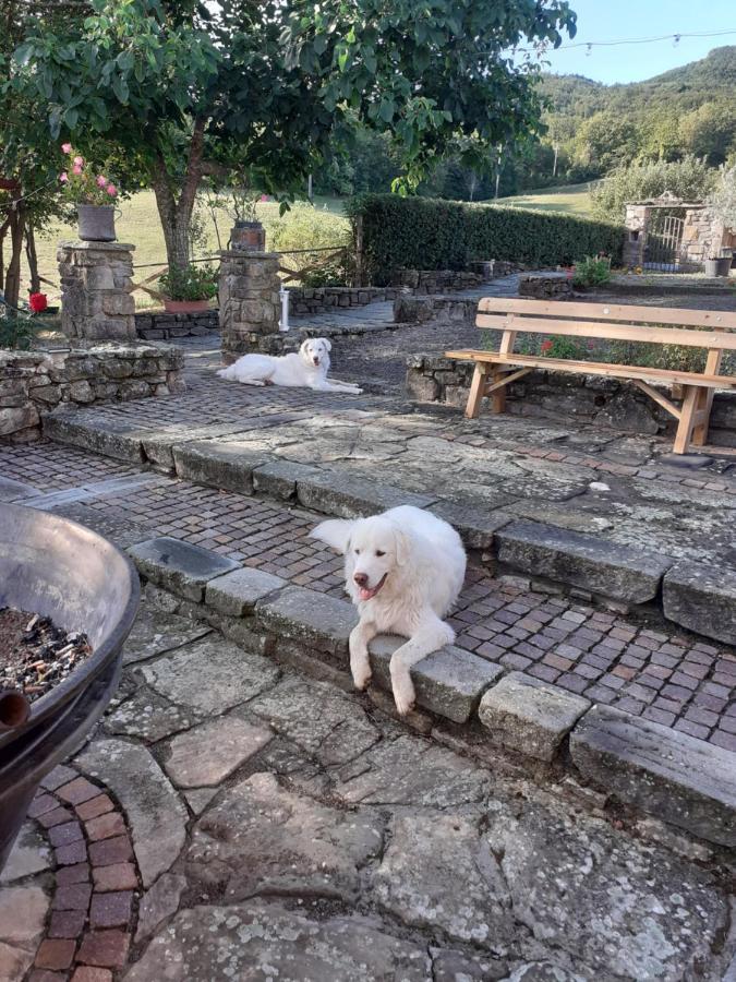 "Borgo Gerbina" Agriturismo & Azienda Agricola Sozzi Ngoại thất bức ảnh